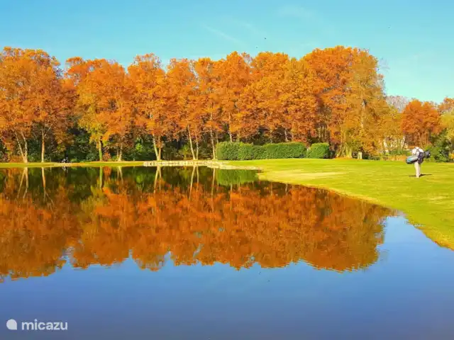 Location de Vacances France, Dordogne, Château-l'Évêque, villa - Hakuna-Matata à 8 min de Périgueux A 6 minutes de votre maison se trouve le golf 18 trous de Périgueux.