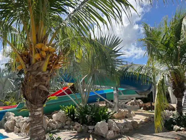 Casa Marjorie Winston Valley Resort | Curaçao, Curaçao-Centre, Willemstad - bungalow