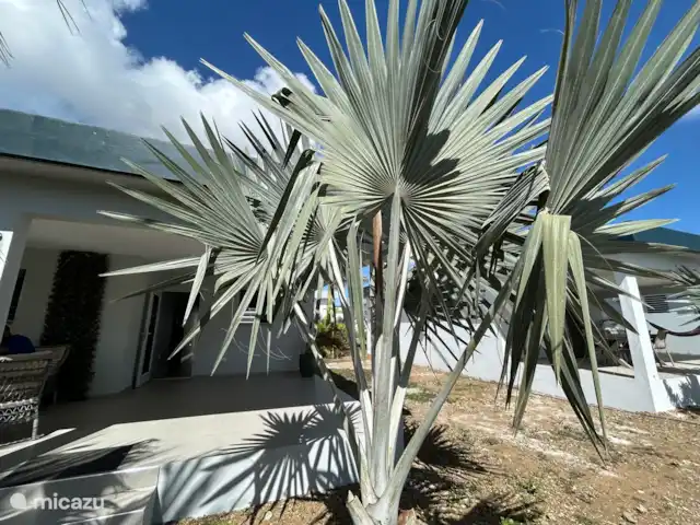 Casa Marjorie Winston Valley Resort | Curaçao, Curaçao-Centre, Willemstad - bungalow