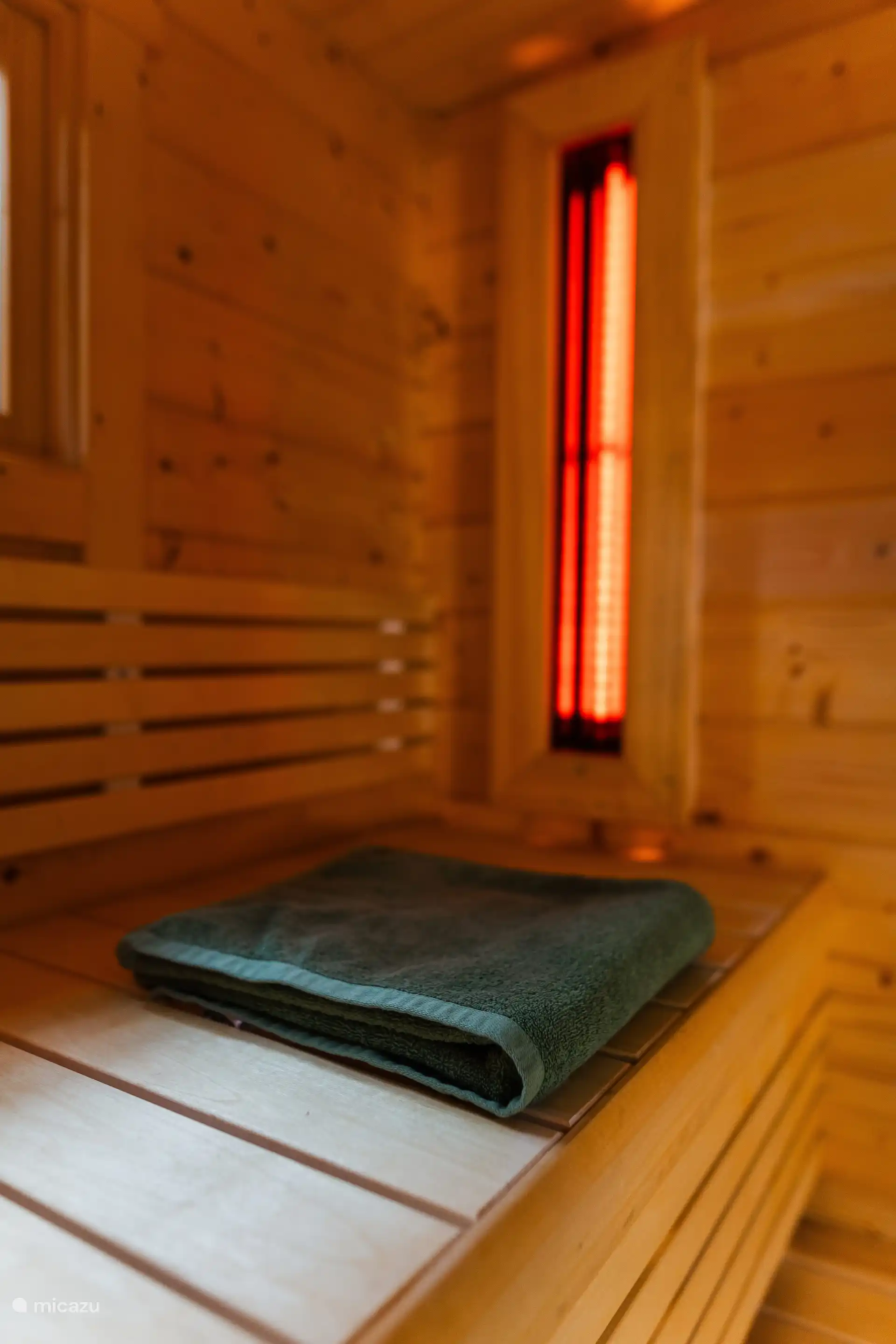 Infrared sauna