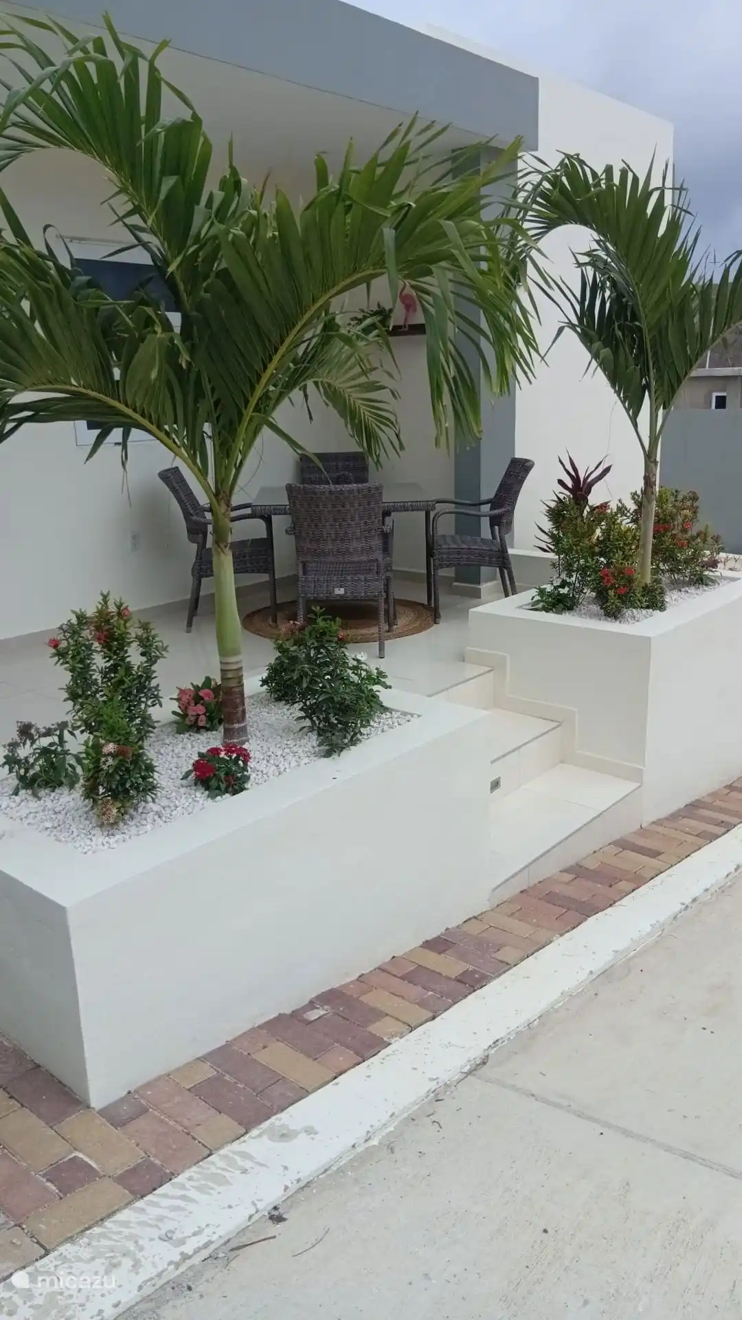 Vernieuwde patio en beplanting