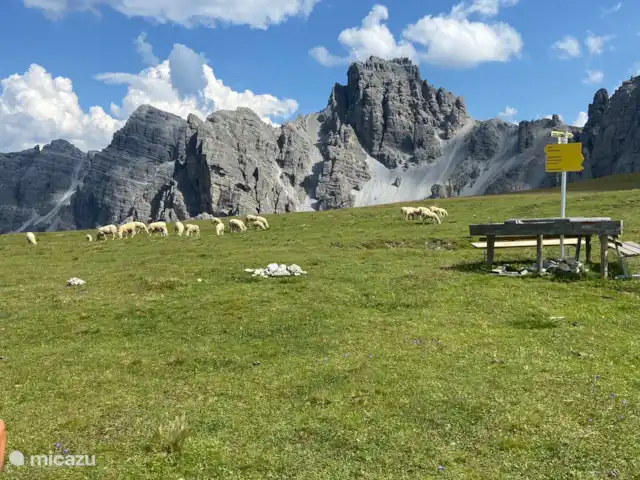 Ático de montaña Tirol en Austria, Tirol, Axams - apartamento Senderismo en Axamer Lizum