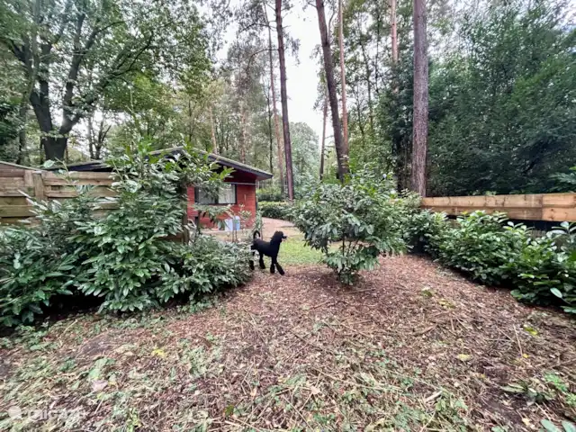 Location de Vacances Belgique, Limbourg, Gellik, chalet - La Maison Zen Jardin
