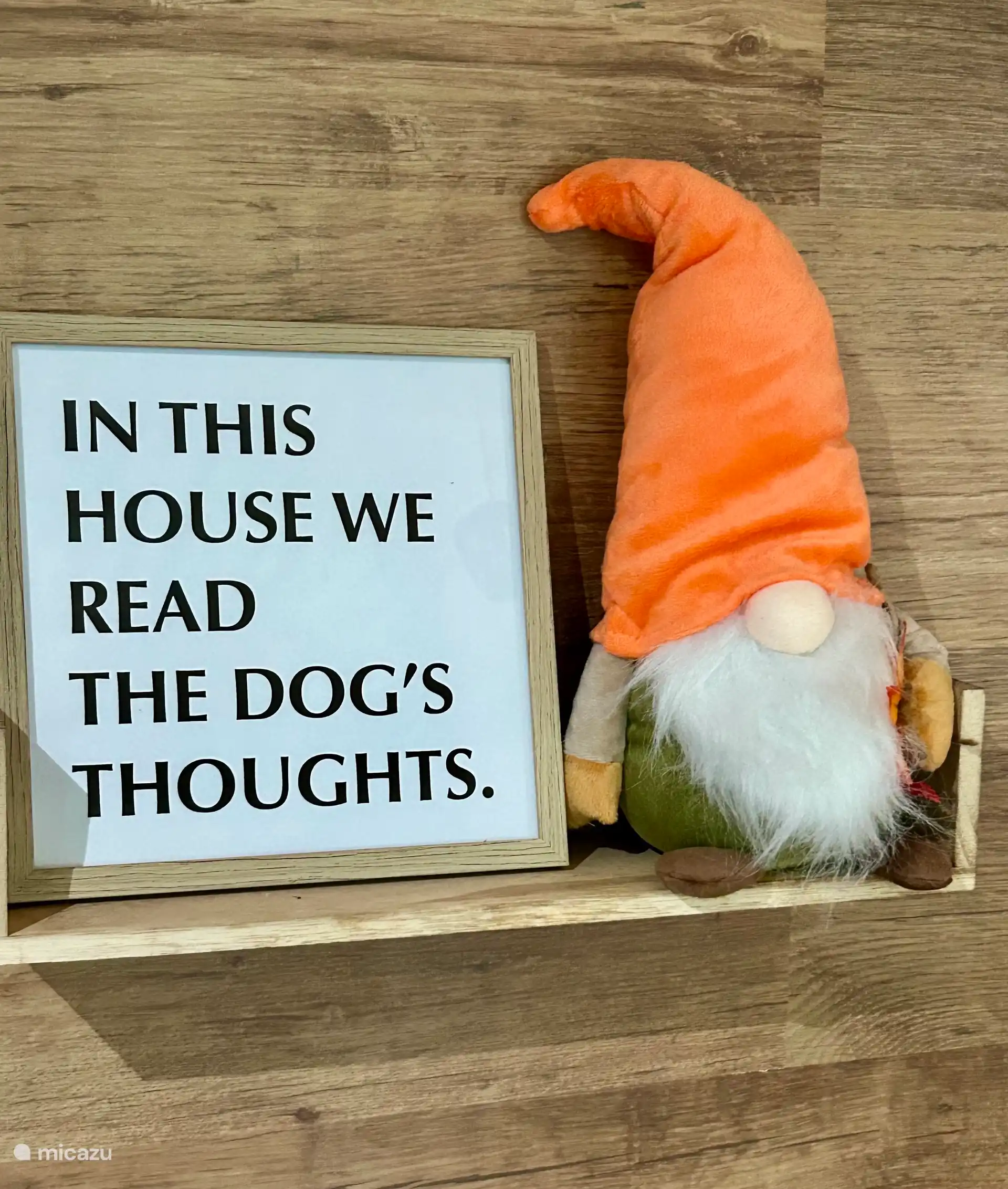 Les chiens sont les bienvenus !