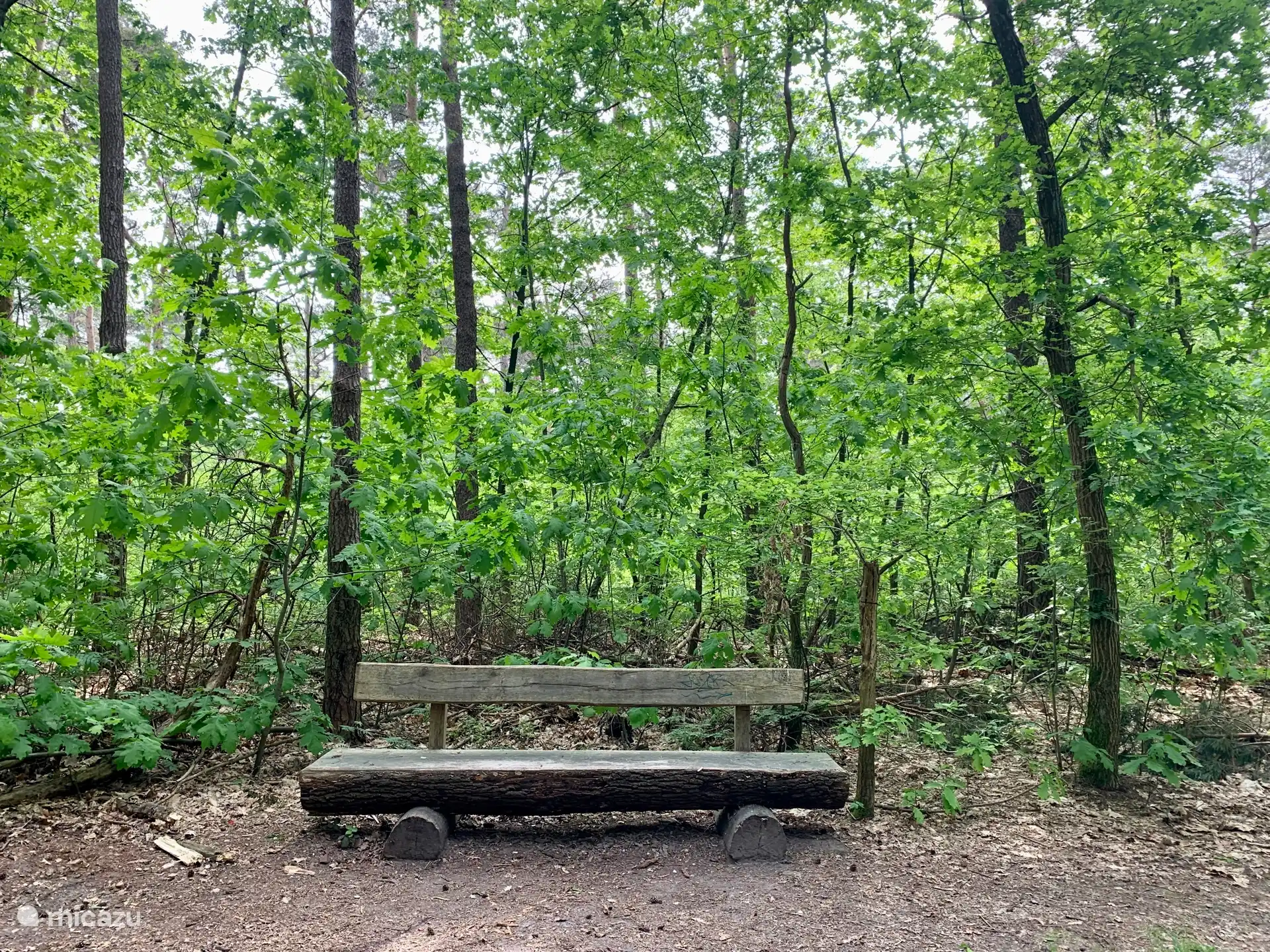 La belle nature du parc national de la Haute Campine