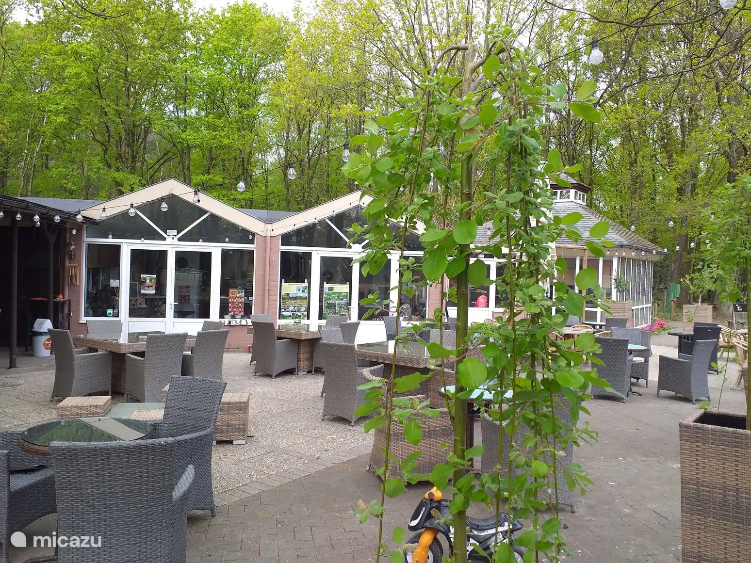 Taverne De Krieckaert, les chiens sont également les bienvenus ici.