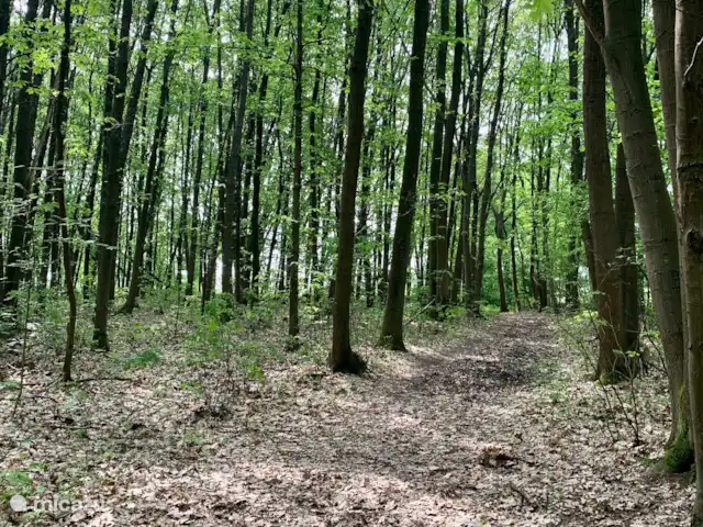 Location de Vacances Belgique, Limbourg, Gellik, chalet - La Maison Zen La belle nature du parc national de la Haute Campine