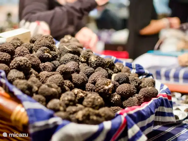 Location de Vacances France, Dordogne, Château-l'Évêque, appartement -  Pumbaa 8 min. du centre de Périgueux Spécialité de la Dordogne.... Truffes