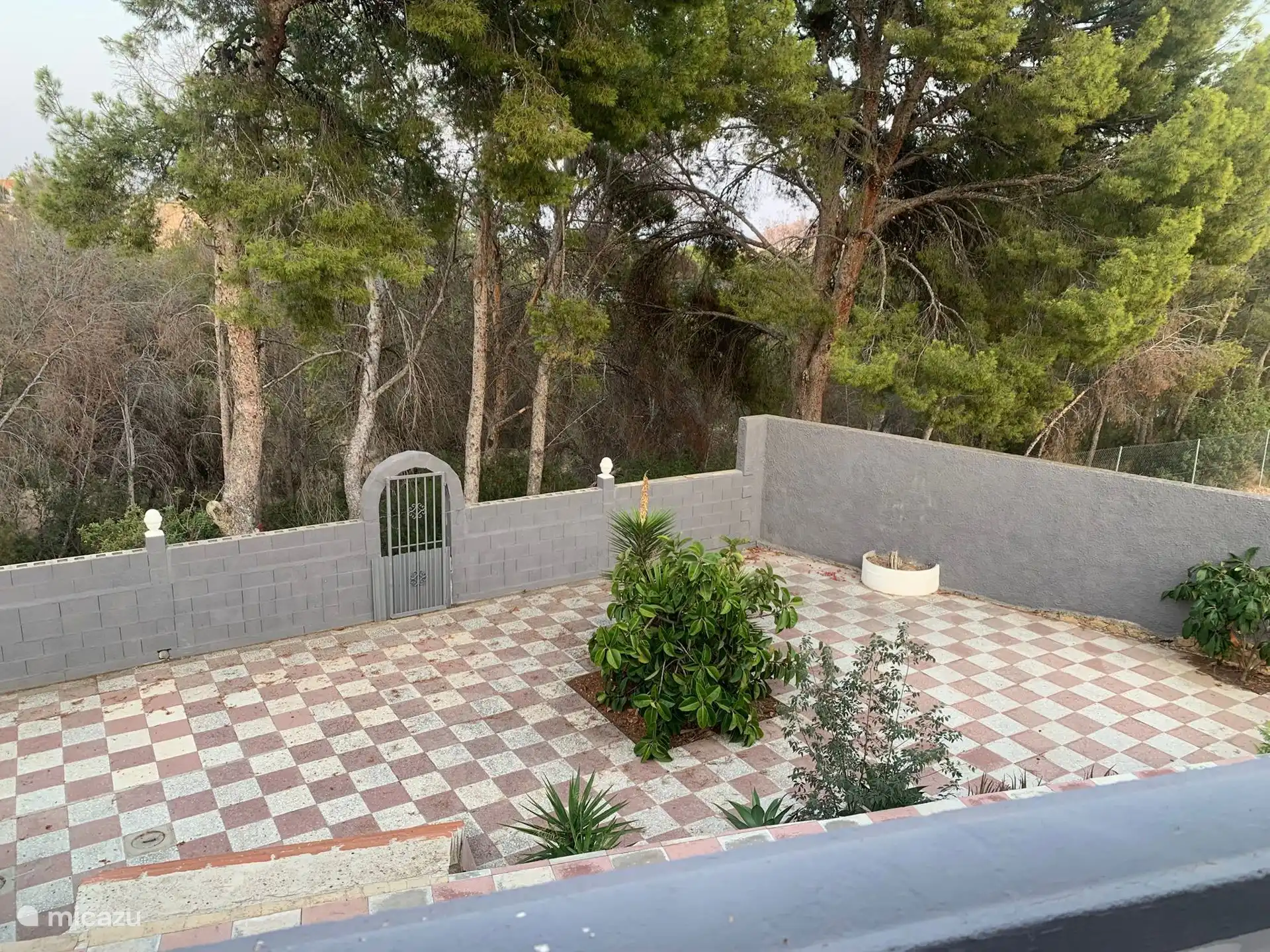 Este es el jardín en la parte trasera de la casa tomado desde el balcón.