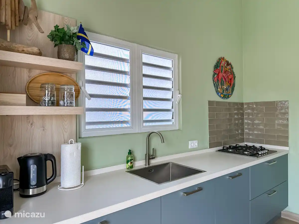 Küche (Geschirrspüler vorhanden)