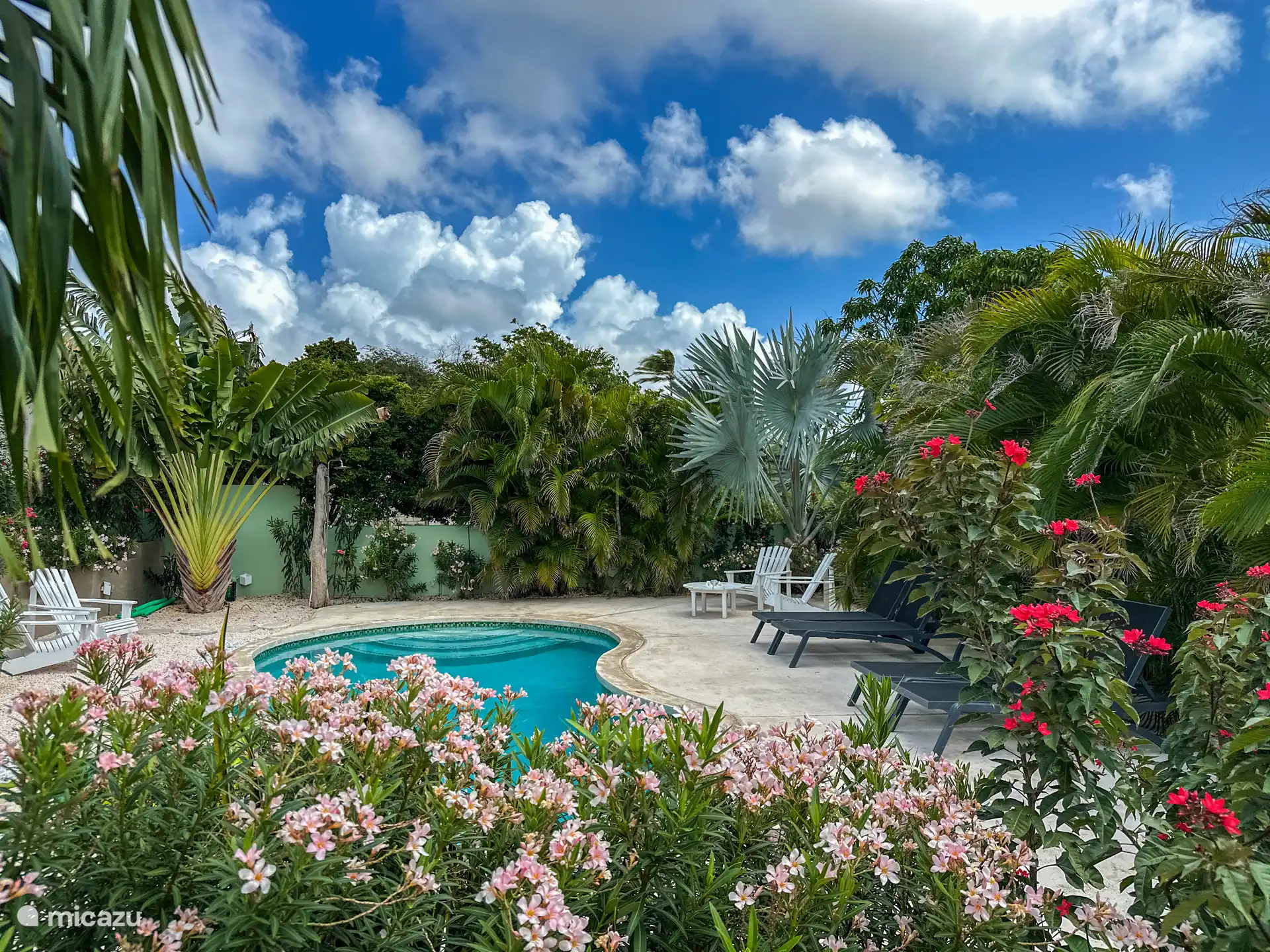 appartement, Marie Pampoen, Banda Ariba (Ost), Curaçao - Ferienwohnung Pinot Grigio