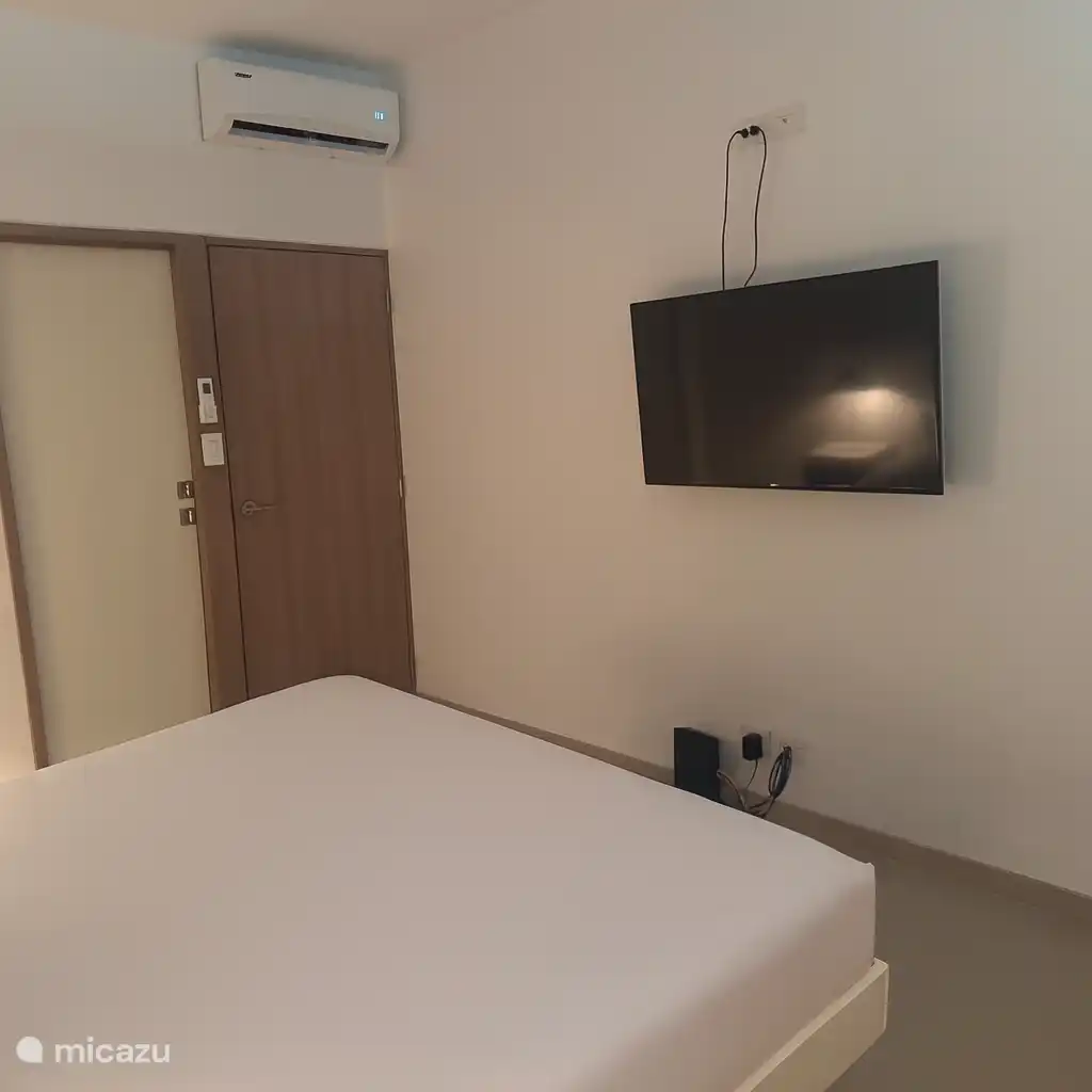 Televisor LED de pantalla grande en el dormitorio principal y Arico privado