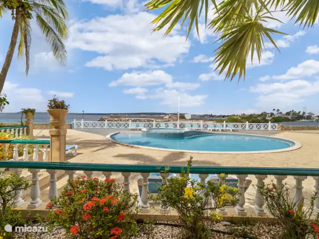 Port Bonaire - Piscina, mar y tienda de buceo en Bonaire, Bonaire, Kralendijk - apartamento La terraza con vistas a la piscina y al mar