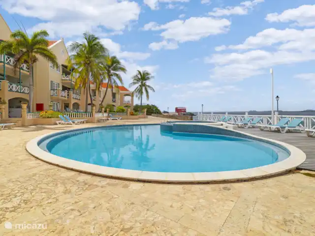 Port Bonaire - Piscina, mar y tienda de buceo en Bonaire, Bonaire, Kralendijk - apartamento Piscina comunitaria