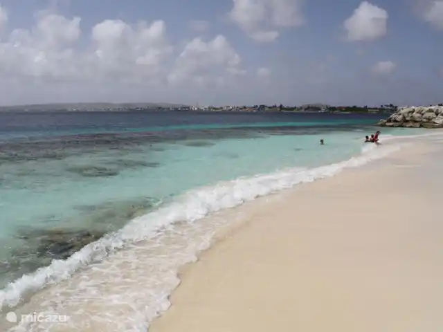 Port Bonaire - Piscina, mar y tienda de buceo en Bonaire, Bonaire, Kralendijk - apartamento A través de la puerta se puede caminar directamente a la playa de Te Amo, una de las playas más hermosas de Bonaire