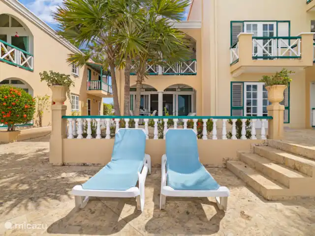 Port Bonaire - Piscina, mar y tienda de buceo en Bonaire, Bonaire, Kralendijk - apartamento Tumbonas junto a la piscina