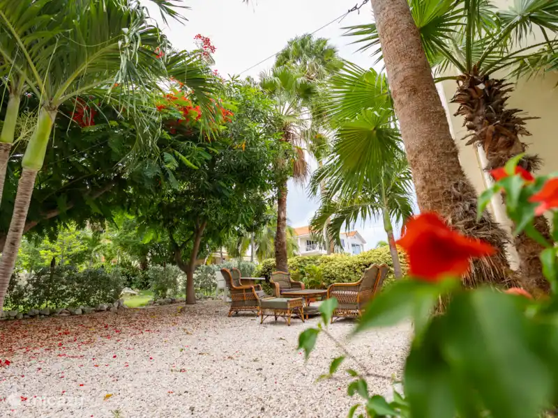 Royal Kolibrie huren in Curaçao, Curacao-Midden, Piscadera - Vakantiehuis Royal Kolibrie huren in Curaçao, Curacao-Midden, Piscadera - Vakantiehuis