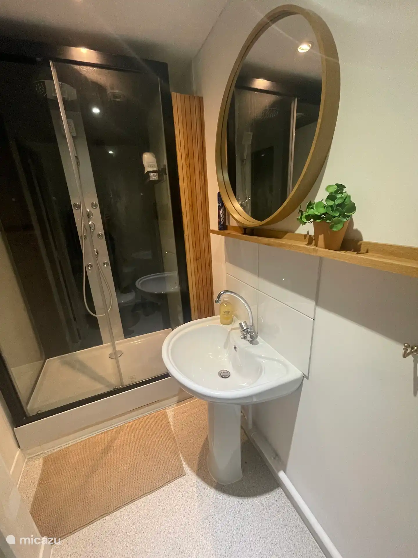 Badkamer: Douche, wastafel & toilet