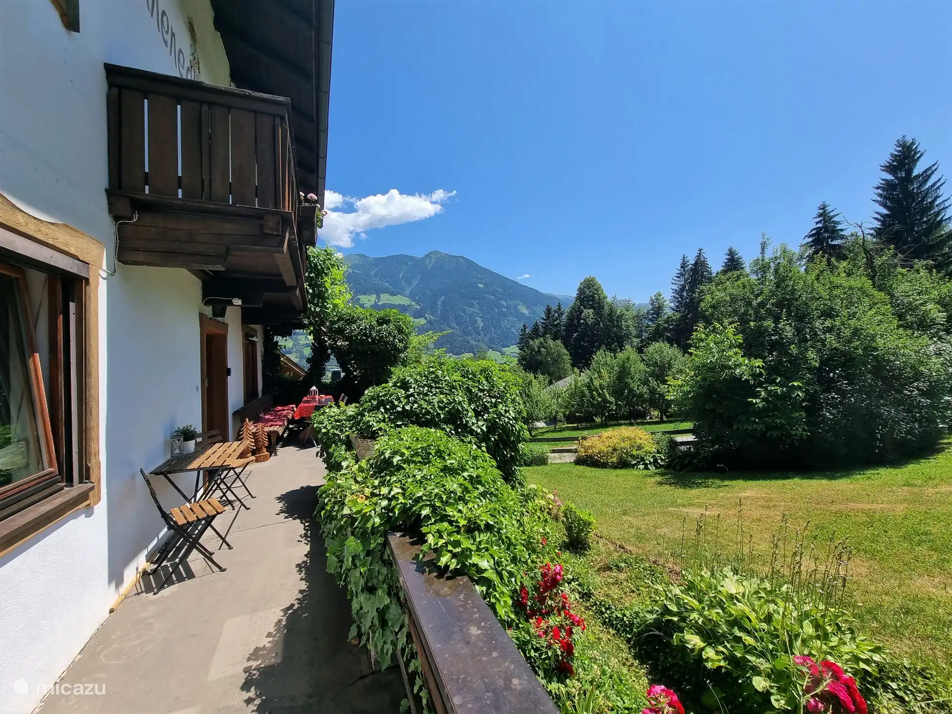 Terrace in front of the house