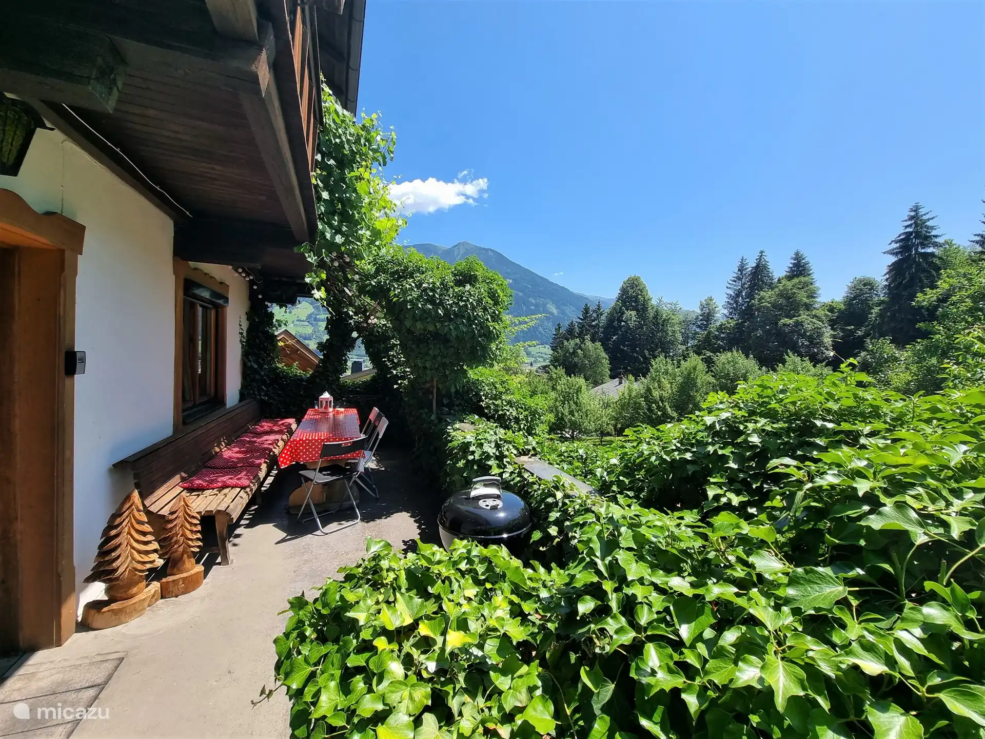 Terrace in front of the house