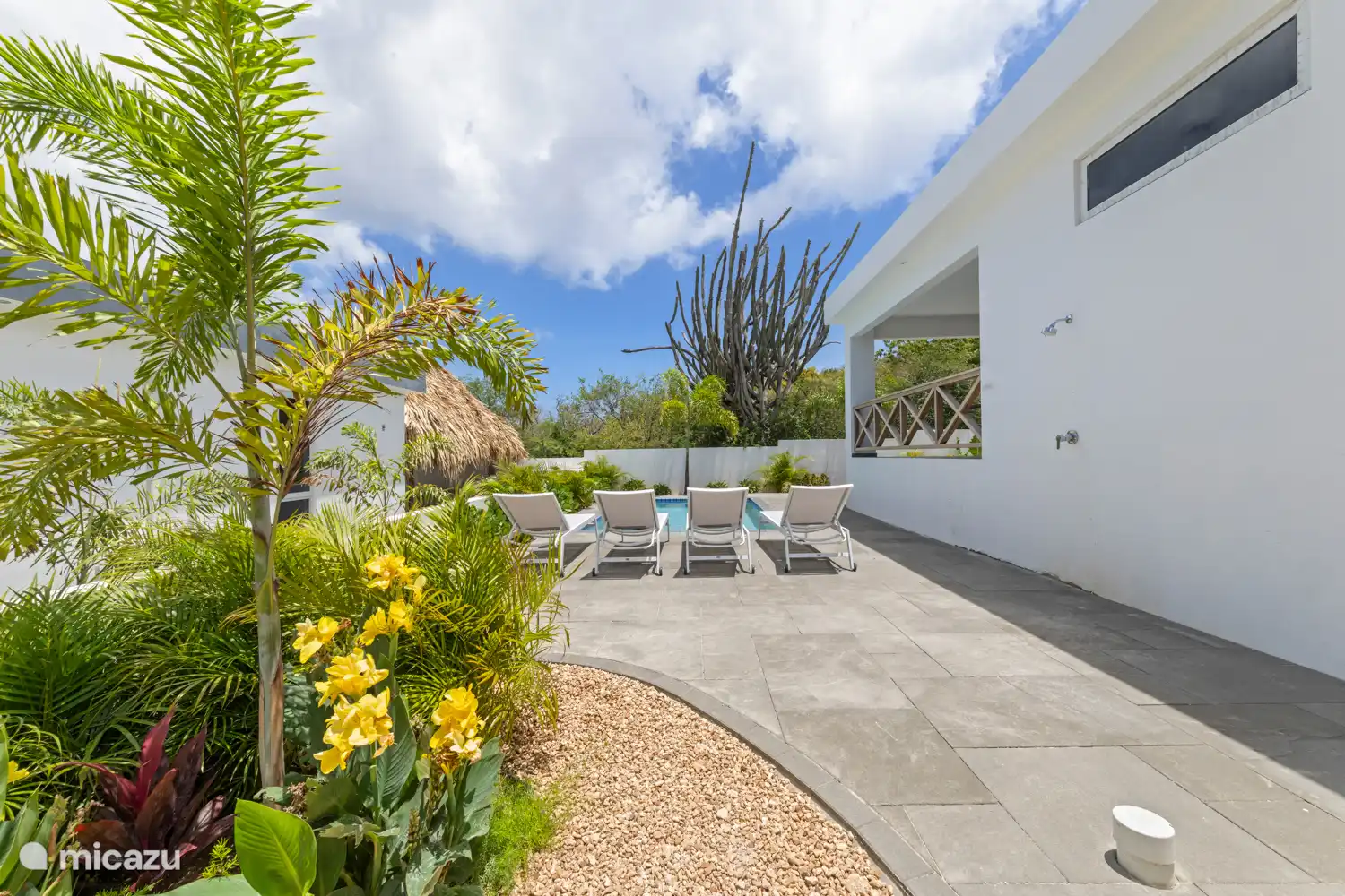 Nice backyard