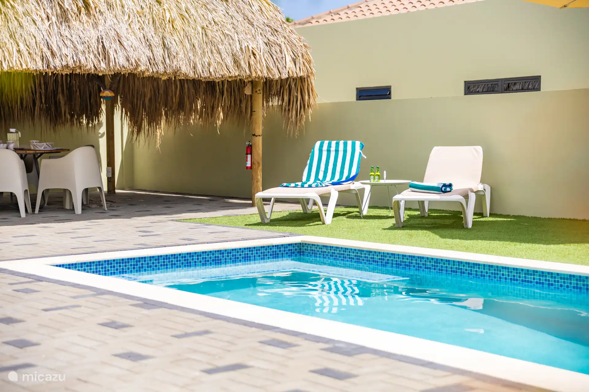 Garden with swimming pool