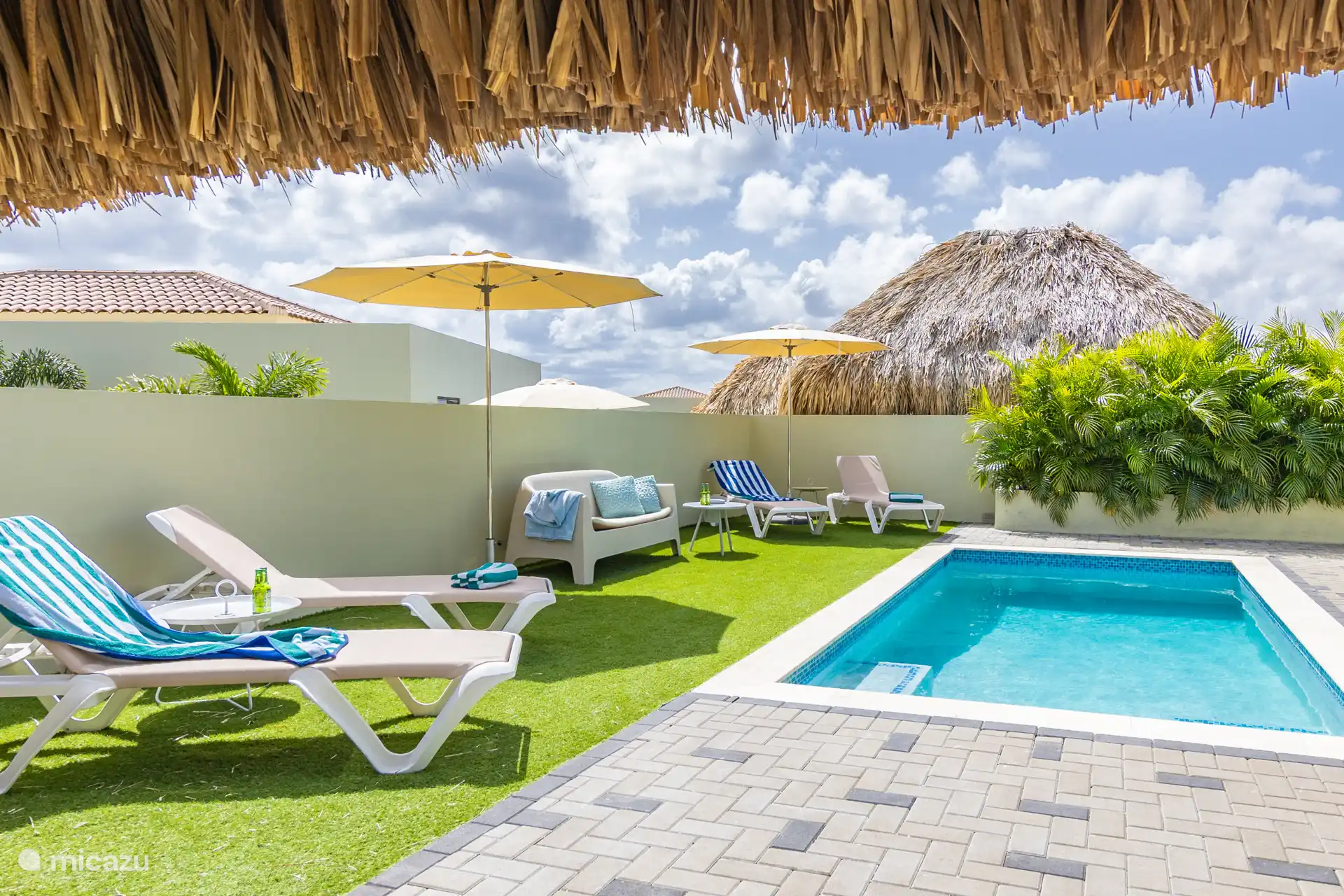 Garden with swimming pool