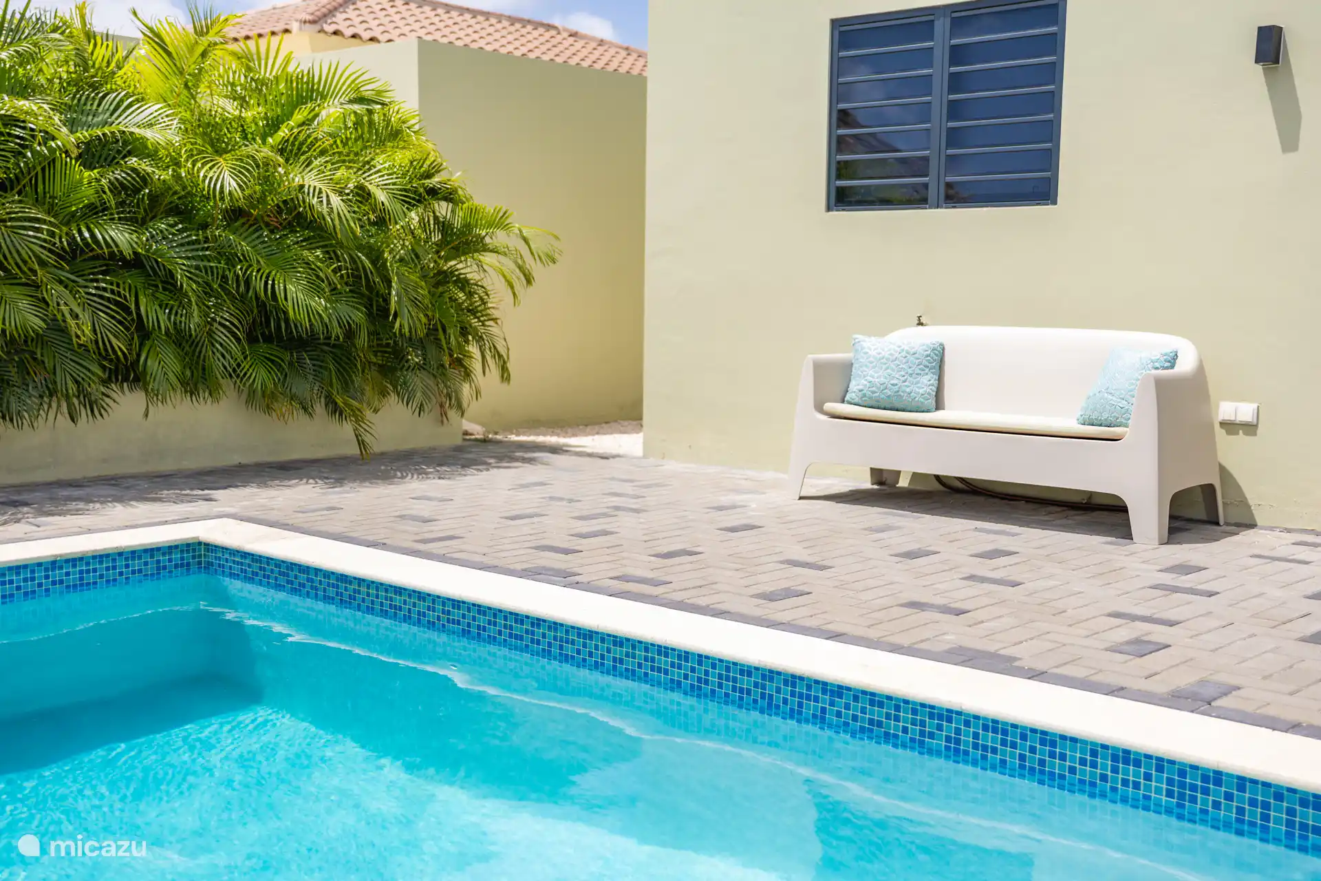 Garden with swimming pool