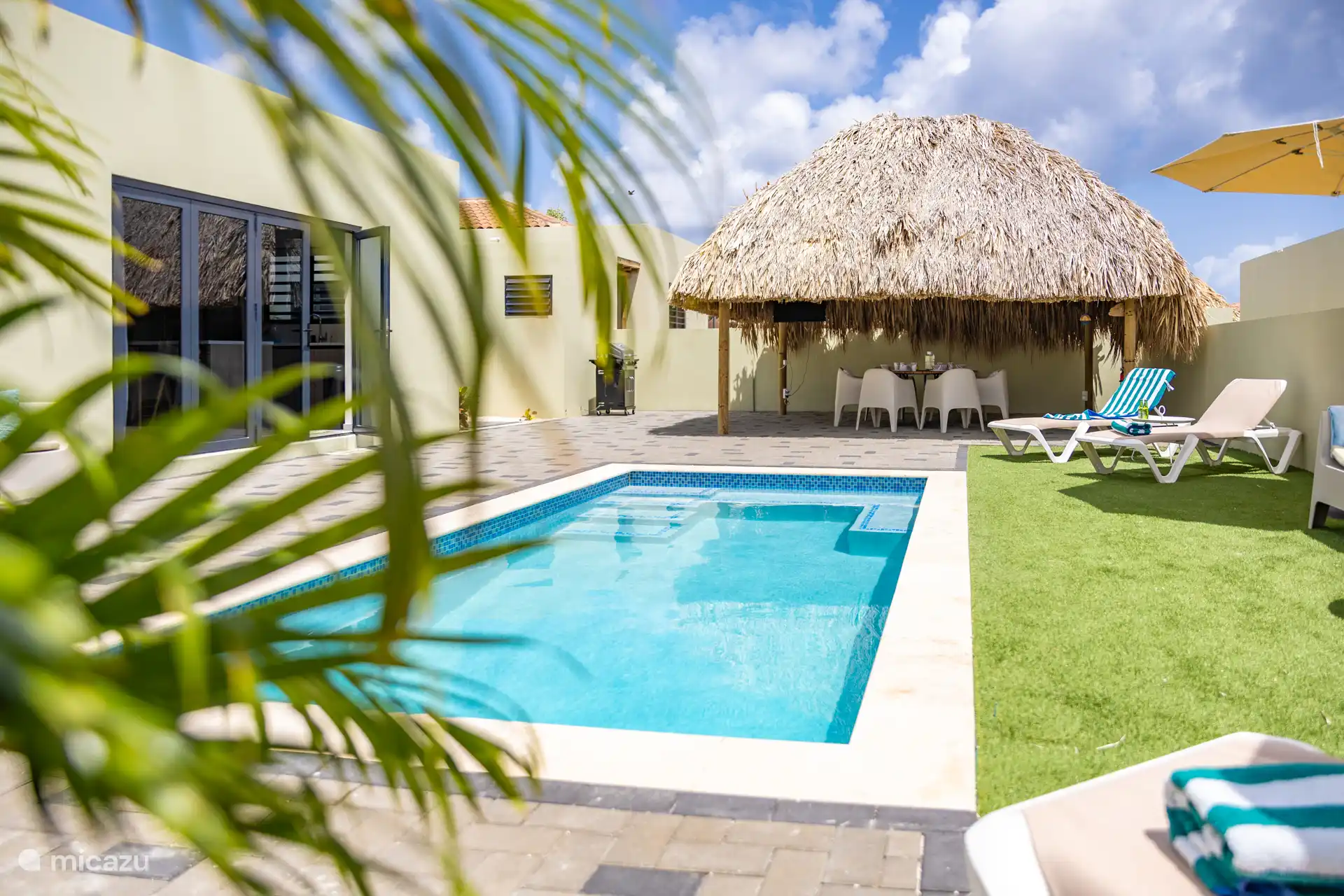 Garden with swimming pool