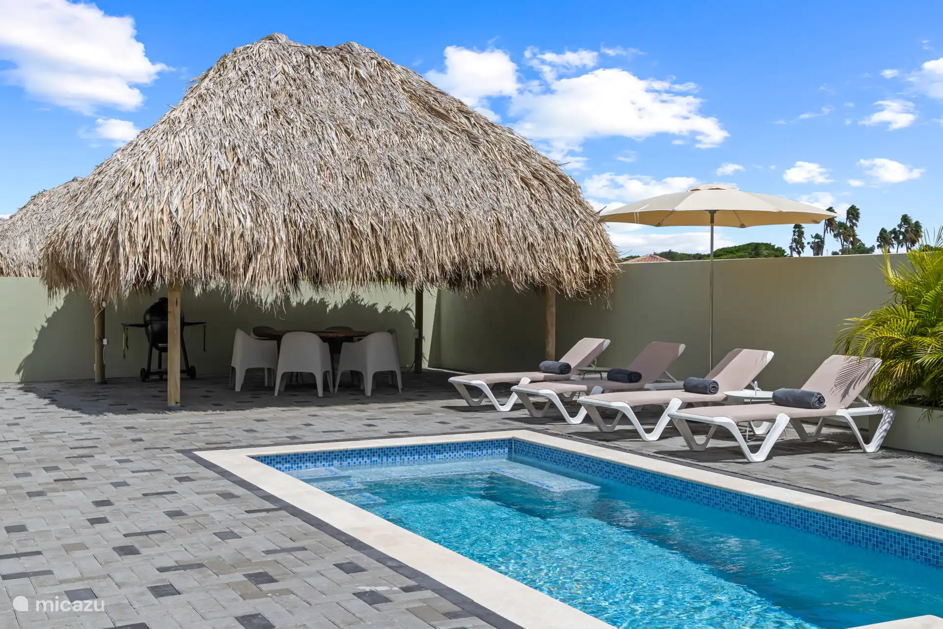 Heerlijk zwembad met papala