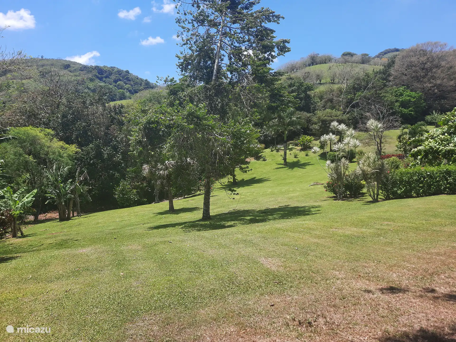 Extensos jardines de unos 7000 metros cuadrados para explorar