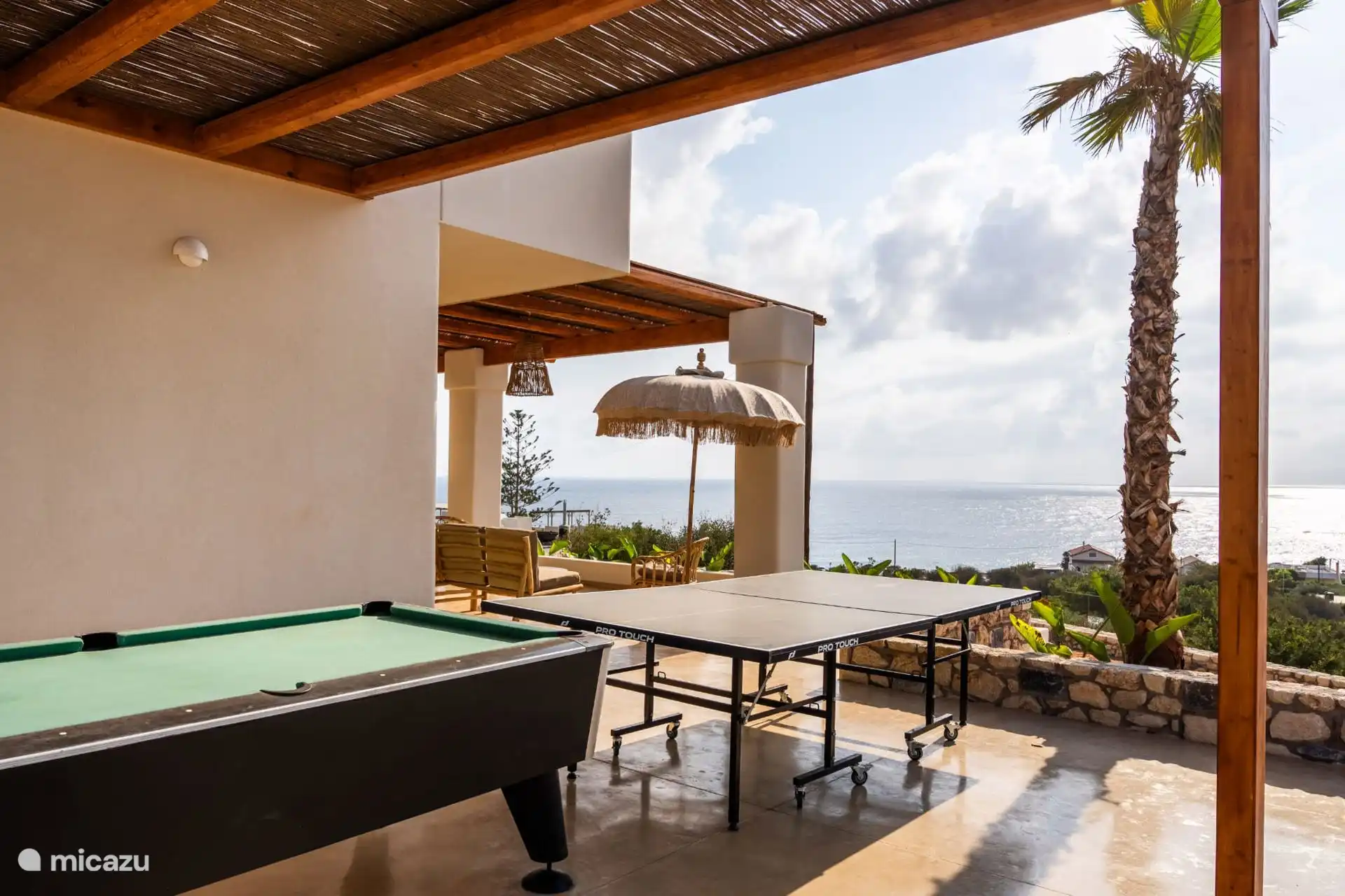 Billardtisch & Tischtennisplatte 