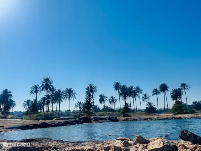 Casa Sal Rosa | Espagne, Costa Blanca, Alicante - appartement Calle Ferri
