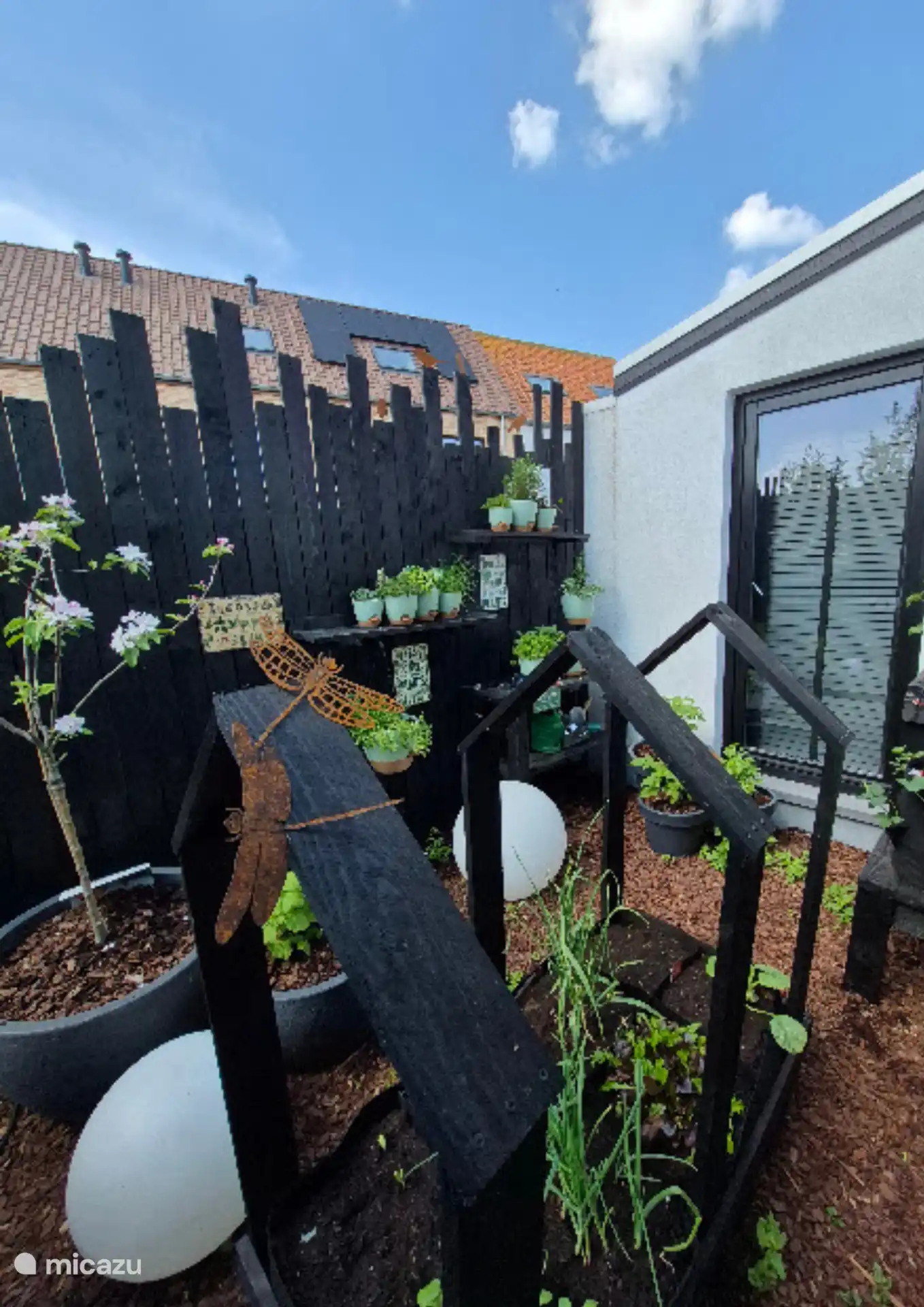 Groenten en kruidentuin