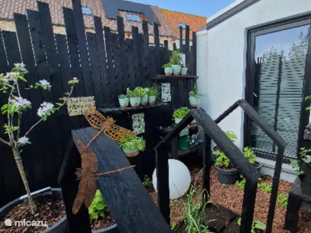 Renity del mar 23  en Bélgica, Flandes, Veurne - casa vacacional Huerto de verduras y hierbas