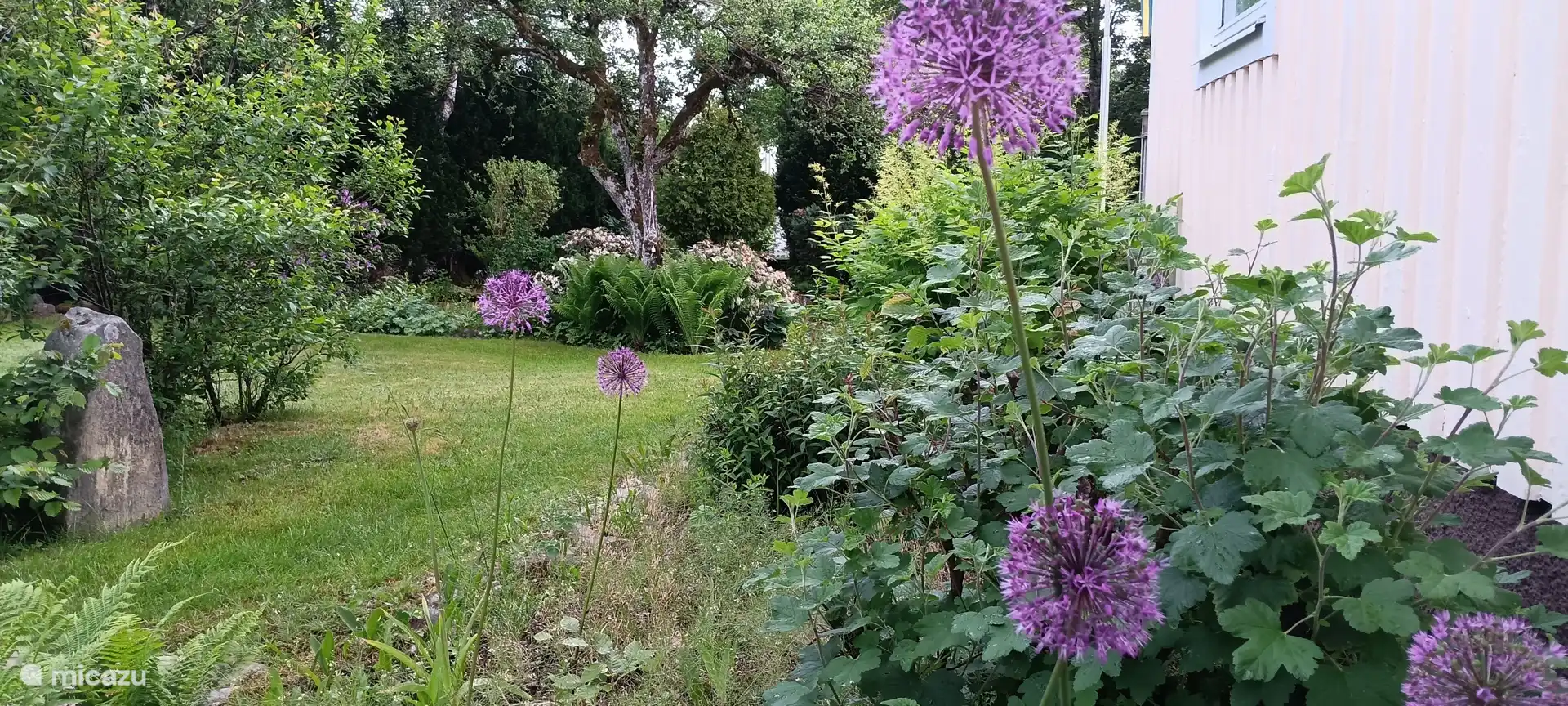 De tuin.