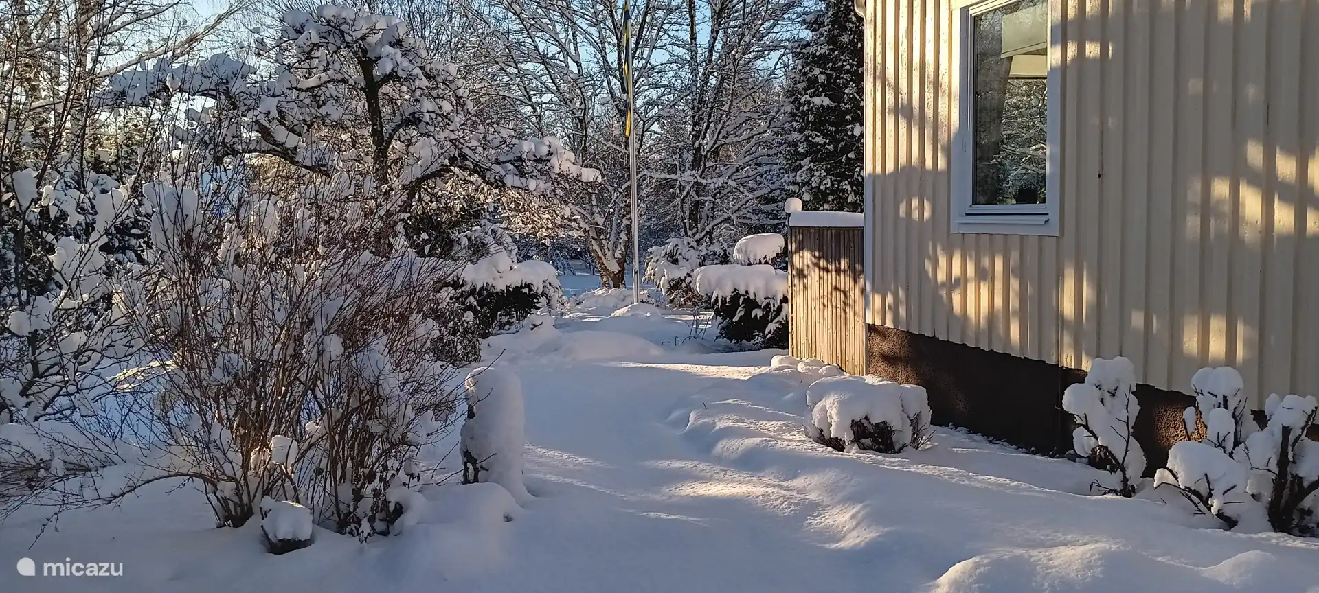 Winter in de tuin.
