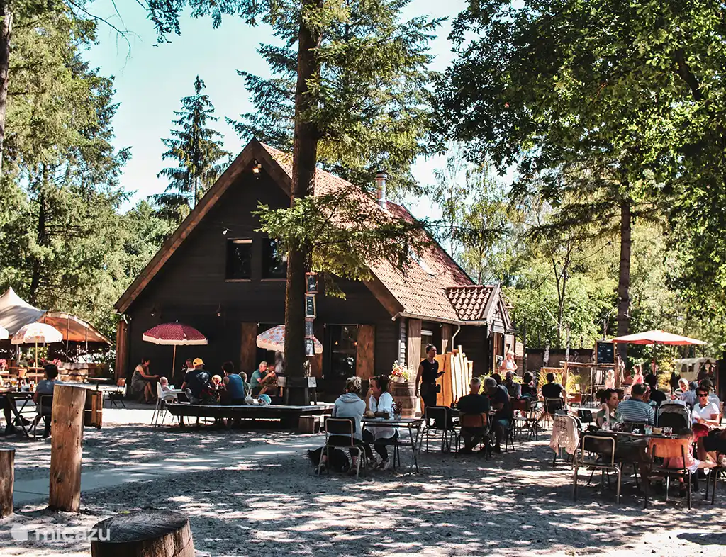 Die Waldhütte, 2 km von der Hütte entfernt
