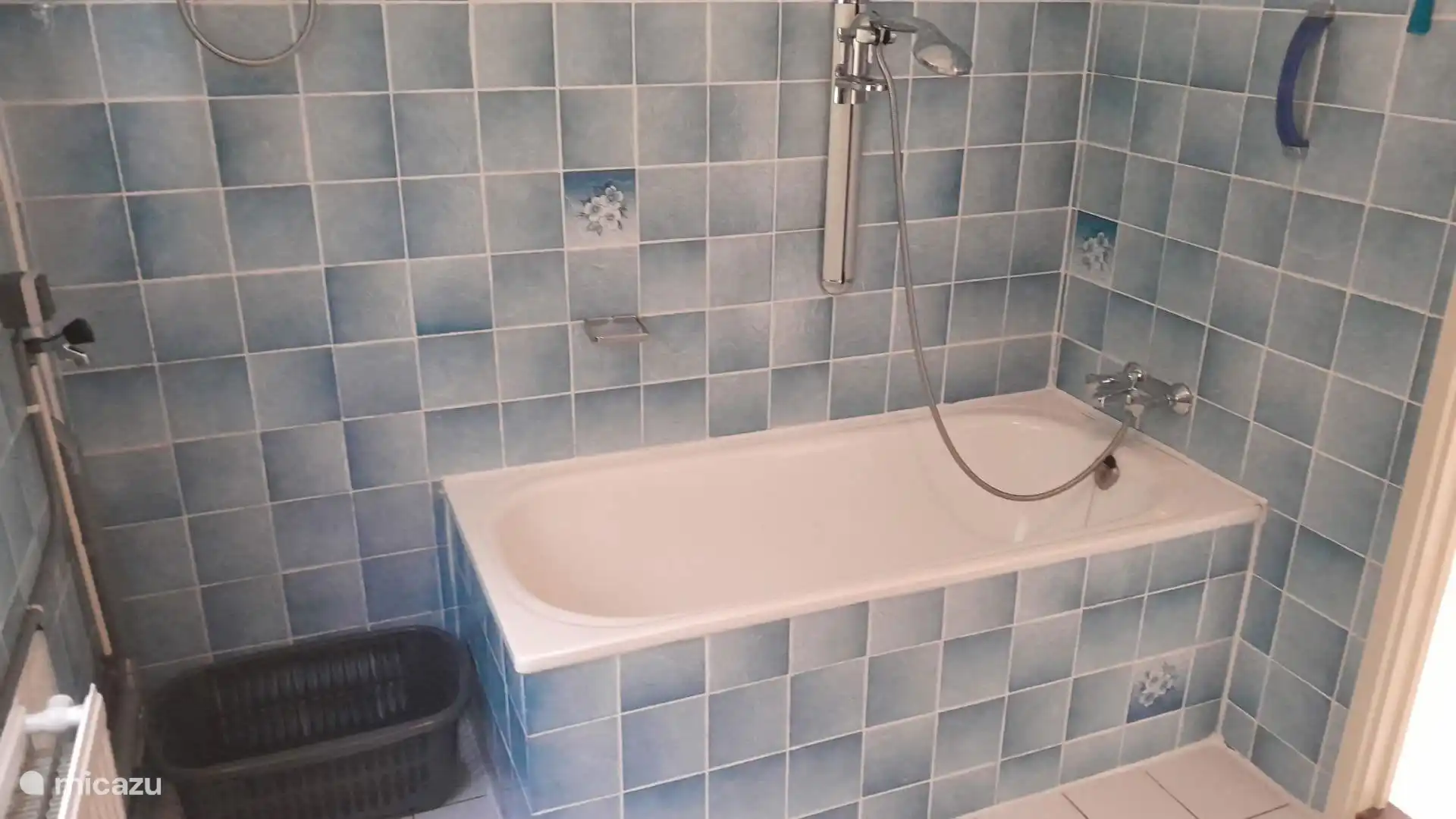 Ruime badkamer met aparte douche cabine en ligbad met douche.