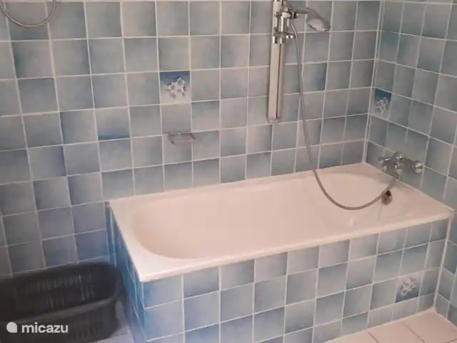 Chalet forestier Beekbergen | Pays-Bas, Gueldre, Beekbergen - maison de vacances Salle de bain spacieuse avec douche et baignoire