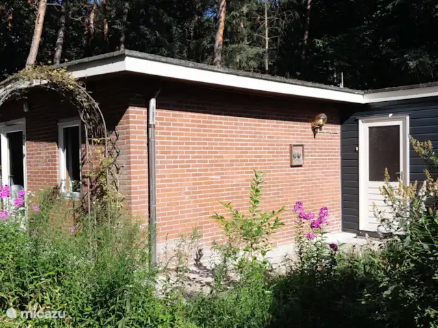 Chalet forestier Beekbergen | Pays-Bas, Gueldre, Beekbergen - maison de vacances Chalet forestier Beekbergen | Pays-Bas, Gueldre, Beekbergen - maison de vacances