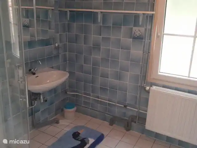 Chalet forestier Beekbergen | Pays-Bas, Gueldre, Beekbergen - maison de vacances Salle de bain spacieuse avec douche et baignoire