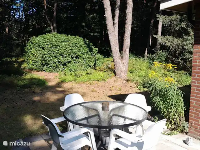 Chalet forestier Beekbergen | Pays-Bas, Gueldre, Beekbergen - maison de vacances Profitez de votre propre jardin forestier