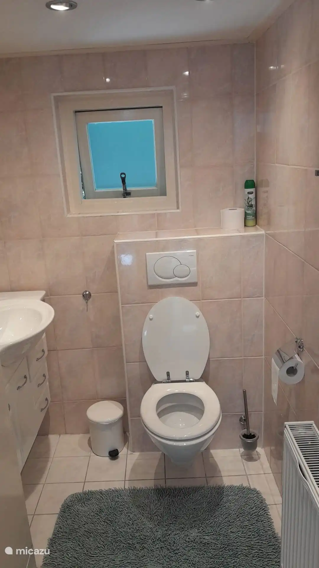 Mooi ruim toilet met wastafel en meubel