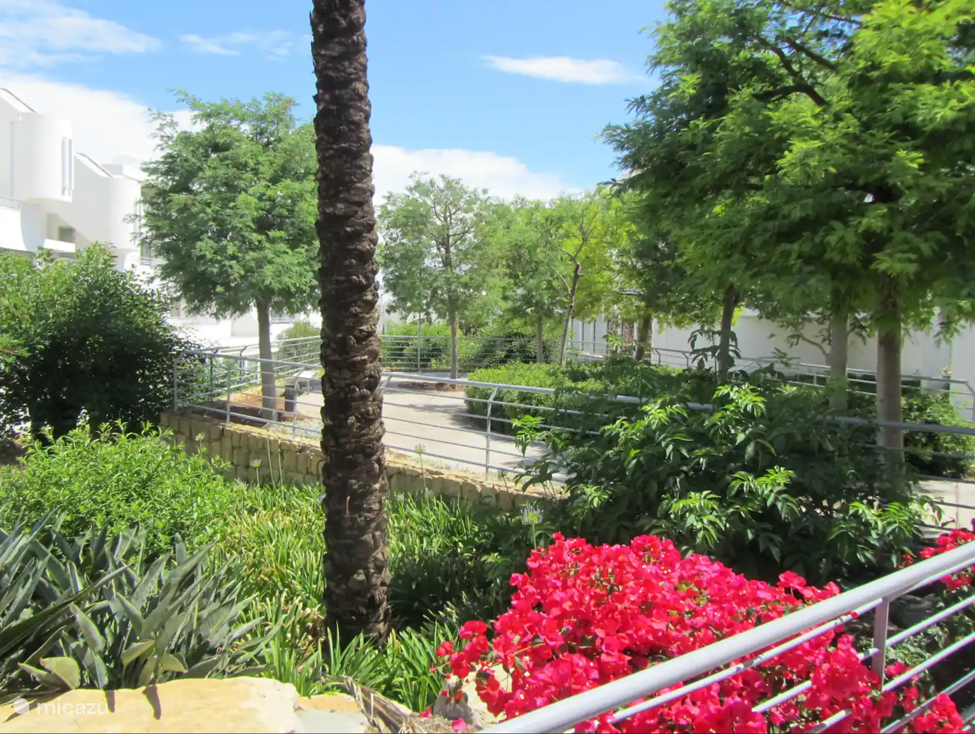 Cour tropicale luxuriante avec des figuiers et des citronniers, des sentiers joliment éclairés, des ruisseaux gazouillants, 3 piscines avec solarium, parasols fixes et transats : une oasis de paix.
