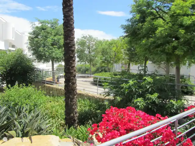 Location de Vacances Espagne, Costa del Sol, Mijas Costa, appartement - Sense-sol Cour tropicale luxuriante avec des figuiers et des citronniers, des sentiers joliment éclairés, des ruisseaux gazouillants, 3 piscines avec solarium, parasols fixes et transats : une oasis de paix.