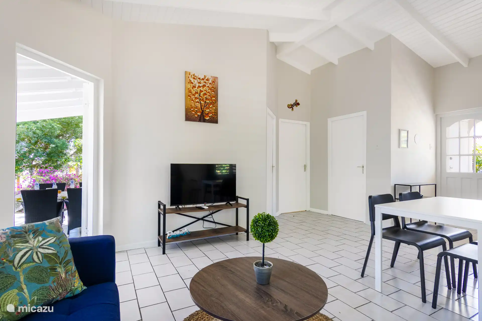 Televisor inteligente