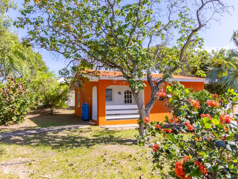 Soñora | Curaçao, Banda Ariba (est), Seru Coral - Bungalow Soñora | Curaçao, Banda Ariba (est), Seru Coral - Bungalow