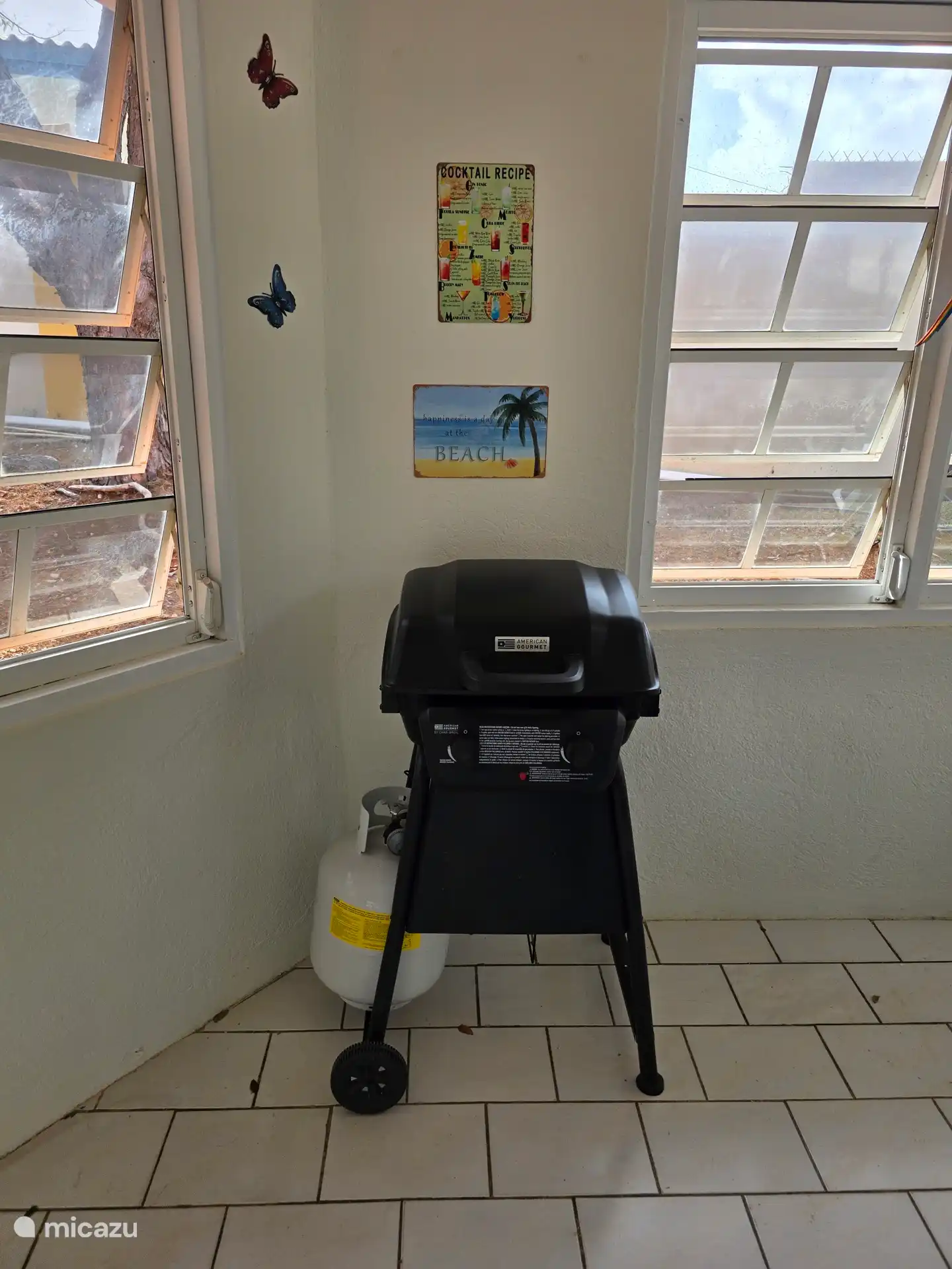 Gas BBQ