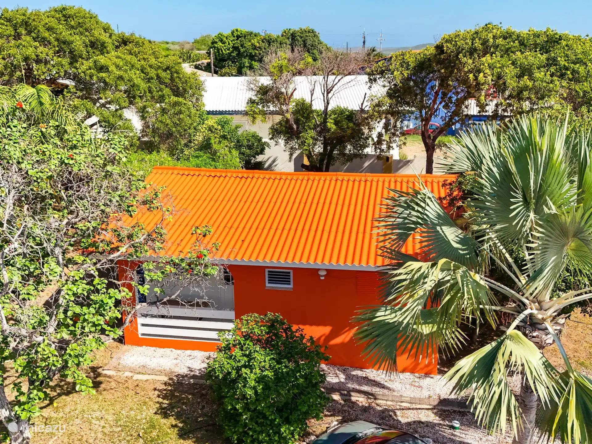 Curazao en su mejor momento